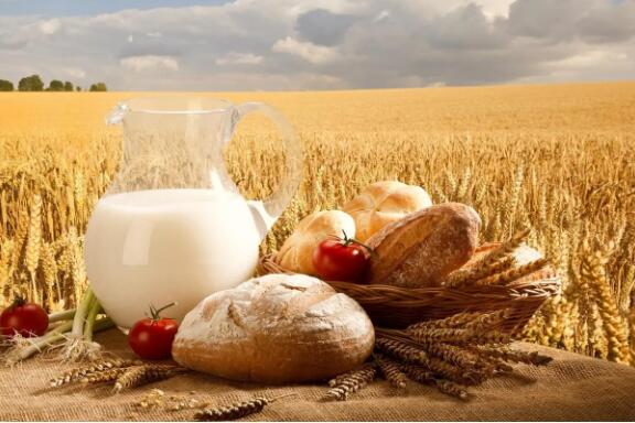 粮油企业哪些检测项目需要液相色谱仪？