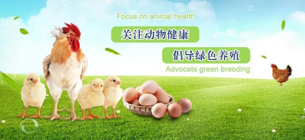 兽药厂家GMP认证仪器配置清单